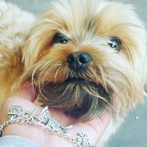 Meet your Posher, Miranda